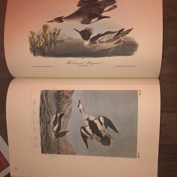 Times,books. The Art Of Audubon. Like New. Condition. - Picture 3 of 8